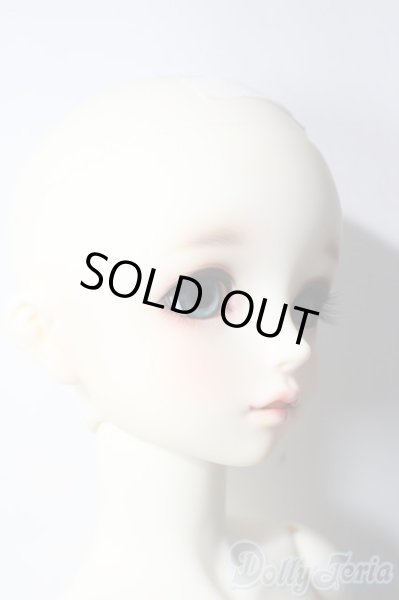 画像6: SD女の子/ワンオフF-95きのこ様 U-25-12-03-216-TN-ZU (6)