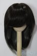 画像1: 9-10inch/ウィッグ U-25-12-03-100-TN-ZU (1)