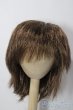 画像1: 9-10inch/ウィッグ U-25-12-03-105-TN-ZU (1)