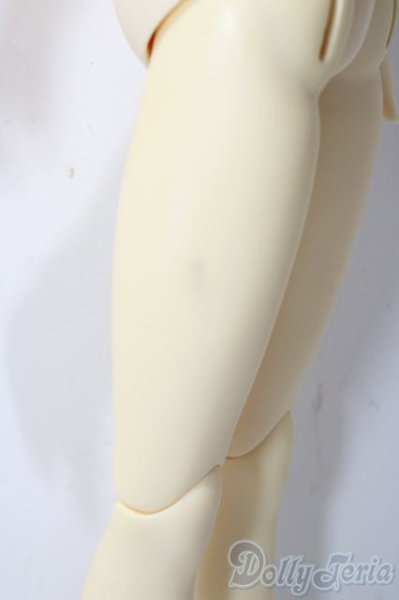 画像4: SD/女の子ボディ U-25-12-03-215-TN-ZU (4)