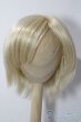 画像1: 9-10inch/ウィッグ U-25-12-03-095-TN-ZU (1)