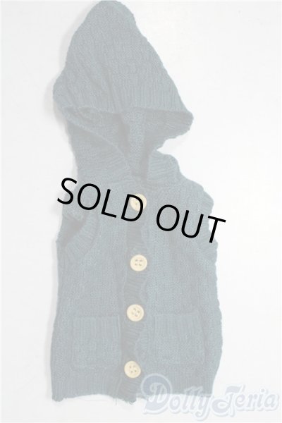 画像1: SDM＆MSD/OF:トップス U-25-12-10-069-TN-ZU (1)