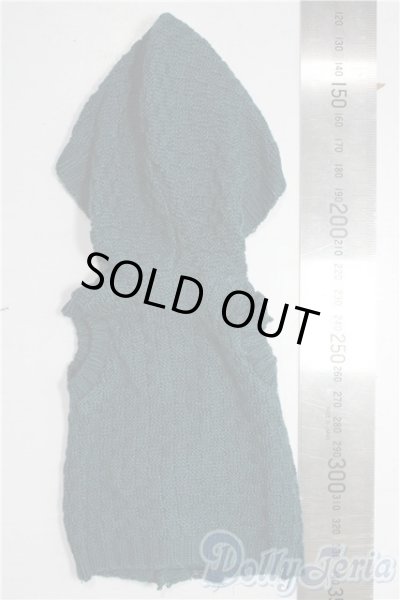 画像2: SDM＆MSD/OF:トップス U-25-12-10-069-TN-ZU (2)