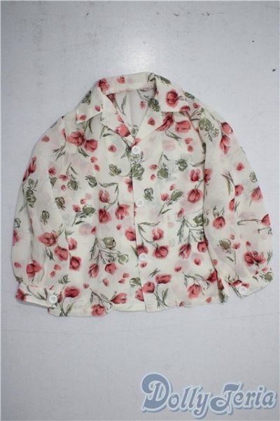 画像1: SD17B/OF:トップス U-25-12-10-075-TN-ZU (1)