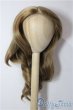 画像1: 9-10inch/ウィッグ U-25-12-10-157-TN-ZU (1)