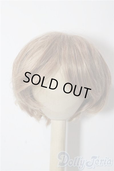 画像1: 9-10inch/ウィッグ U-25-12-10-160-TN-ZU (1)