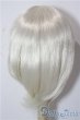 画像2: 9-10inch/ウィッグ U-25-12-10-165-TN-ZU (2)