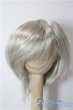 画像1: 7-8inch/ウィッグ U-25-12-24-009-TN-ZU (1)