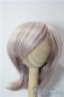 画像1: 7-8inch/ウィッグ U-25-12-24-006-TN-ZU (1)
