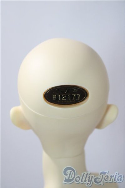 画像5: SDGｒBOY/フルチョイス：SD-F-49 U-25-12-17-218-TN-ZU (5)