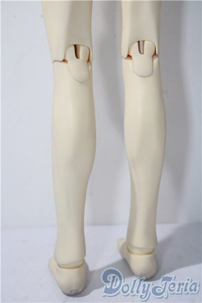 画像10: SDGｒBOY/フルチョイス：SD-F-49 U-25-12-17-218-TN-ZU (10)