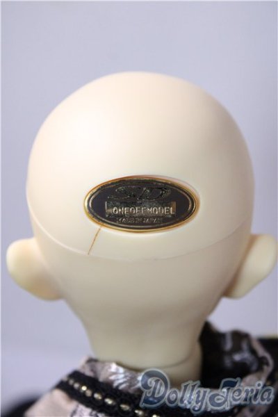 画像5: SD13BOY/ワンオフF-49aone様 U-25-12-17-219-TN-ZU (5)