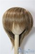 画像1: 9-10inch/ウィッグ U-25-12-24-018-TN-ZU (1)