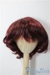 画像1: 9-10inch/ウィッグ U-25-12-24-021-TN-ZU (1)