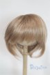 画像1: 8-9inch/ウィッグ U-25-12-24-260-TN-ZU (1)