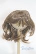 画像1: 8-9inch/ウィッグ U-25-12-24-268-TN-ZU (1)