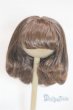 画像1: 8-9inch/ウィッグ U-25-12-24-244-TN-ZU (1)