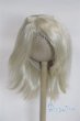 画像1: 8-9inch/ウィッグ U-25-12-24-248-TN-ZU (1)