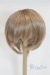 画像1: 8-9inch/ウィッグ U-25-12-24-255-TN-ZU (1)