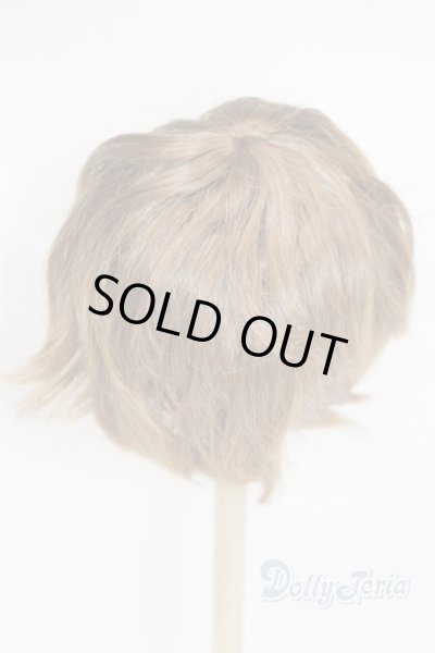 画像2: 8-9inch/ウィッグ U-25-12-24-230-TN-ZU (2)