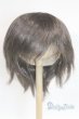 画像1: 8-9inch/ウィッグ U-25-12-24-239-TN-ZU (1)