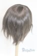 画像2: 8-9inch/ウィッグ U-25-12-24-239-TN-ZU (2)