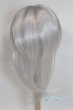 画像2: 8-9inch/ウィッグ U-25-12-24-242-TN-ZU (2)