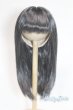 画像1: 8-9inch/ウィッグ U-25-12-24-286-TN-ZU (1)