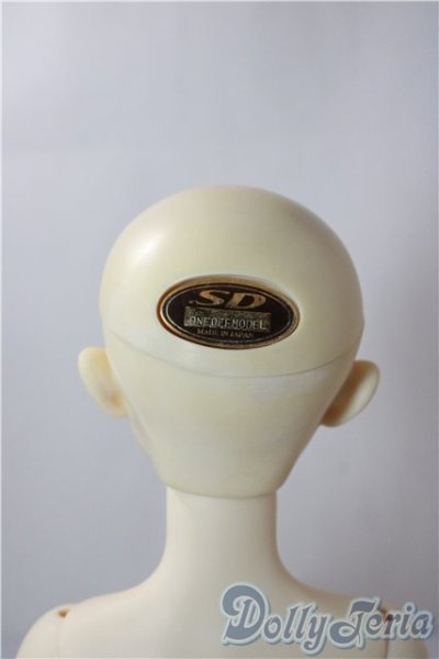 画像6: SD女の子/ワンオフリズCiera様 U-25-12-24-212-TN-ZU (6)