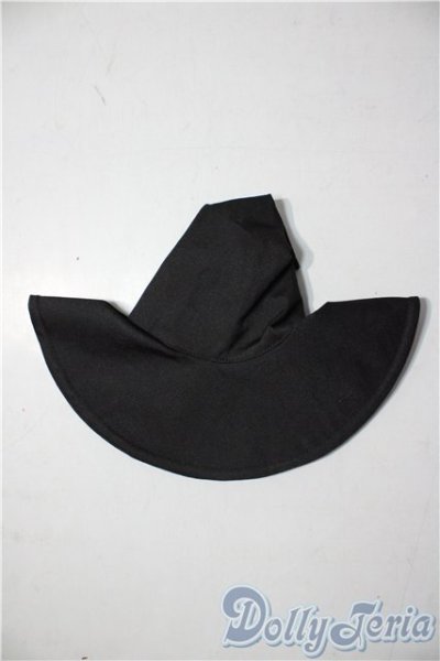 画像1: SD/OF:ウィザーハット U-25-12-24-068-TN-ZU (1)