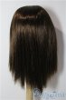 画像2: 8-9inch/ウィッグ U-25-12-24-161-TN-ZU (2)