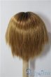 画像2: 9-10inch/ウィッグ U-25-12-24-162-TN-ZU (2)