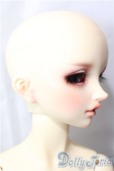 画像3: SD女の子/フルチョイス F-63 U-25-12-24-218-TN-ZU (3)