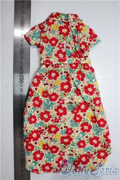 画像2: SDM＆MSD/OF:ワンピース U-25-12-24-118-TN-ZU (2)