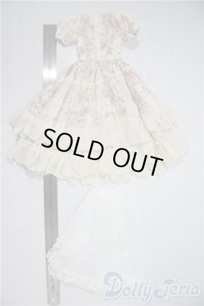 画像2: SDM＆MSD/OF:ワンピース U-25-12-24-112-TN-ZU (2)