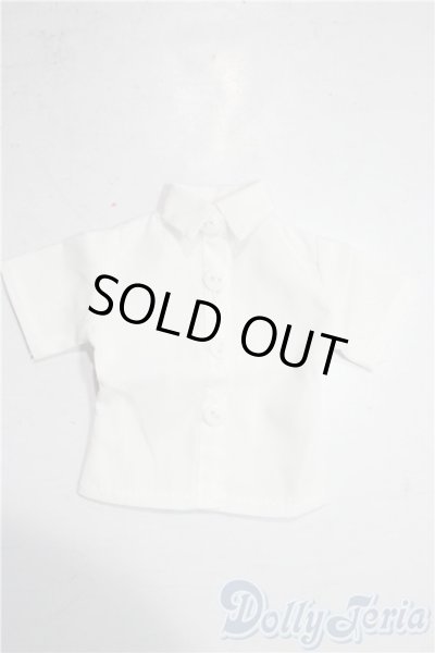 画像1: SDM&MSD/OF:トップス U-25-12-24-133-TN-ZU (1)