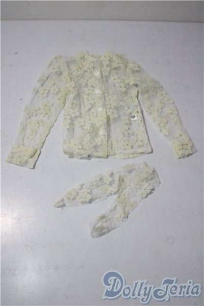 画像1: SD/OF:トップス U-25-12-24-207-TN-ZU (1)