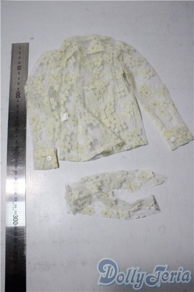 画像2: SD/OF:トップス U-25-12-24-207-TN-ZU (2)