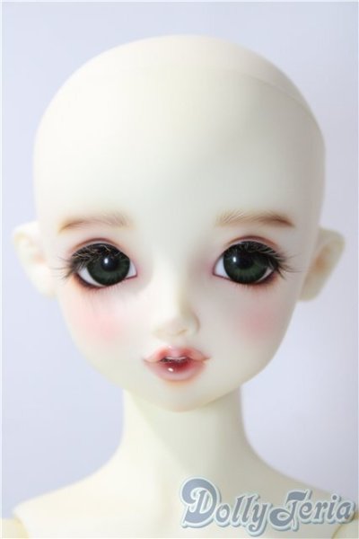 画像2: SD女の子/リーゼロッテワンオフきのこ様 U-26-01-04-216-TN-ZU (2)