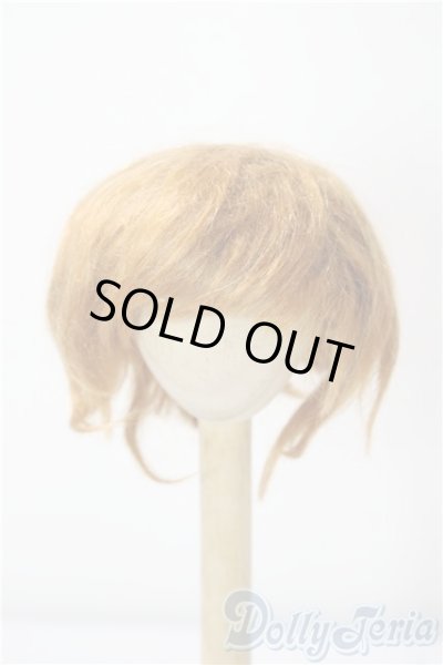 画像1: 6-7inch/ウィッグ U-26-01-04-003-TN-ZU (1)