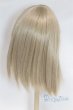 画像2: 9-10inch/ウィッグ U-26-01-04-224-TN-ZU (2)