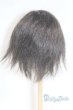 画像2: 9-10inch/ウィッグ U-26-01-04-232-TN-ZU (2)