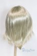 画像2: 9-10inch/ウィッグ U-26-01-04-255-TN-ZU (2)