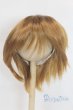 画像1: 9-10inch/ウィッグ U-26-01-04-270-TN-ZU (1)