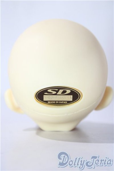 画像4: SD/教室Aヘッド U-26-01-07-212-TN-ZU (4)