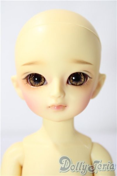 画像2: 幼sd/たんぽぽ U-26-01-07-214-TN-ZU (2)