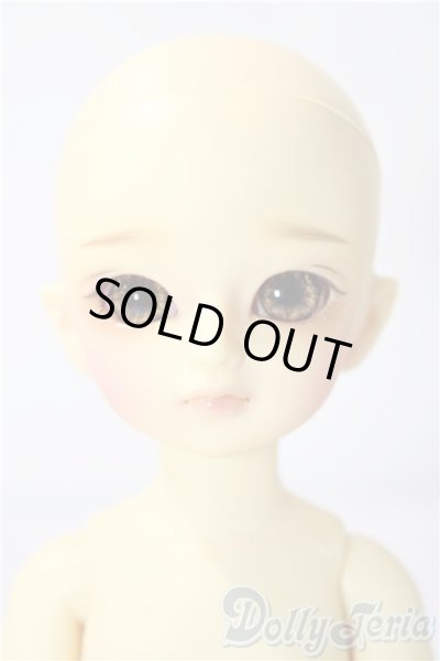 画像2: 幼sd/たんぽぽ U-26-01-07-214-TN-ZU (2)