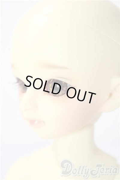 画像4: 幼sd/たんぽぽ U-26-01-07-214-TN-ZU (4)