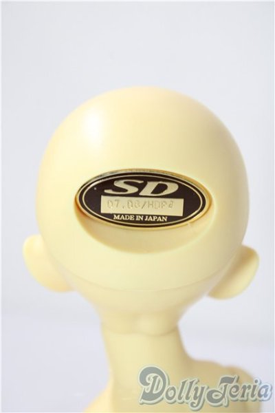 画像5: 幼sd/たんぽぽ U-26-01-07-214-TN-ZU (5)