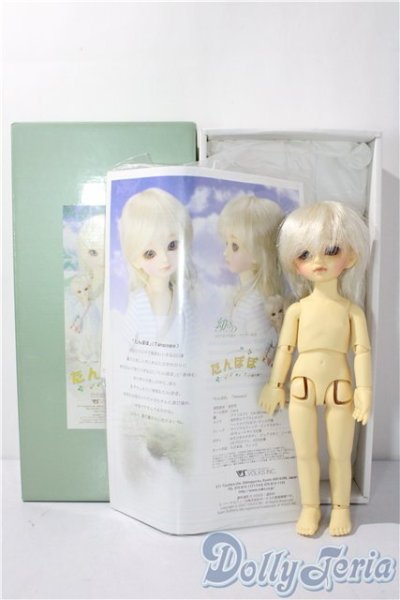 画像8: 幼sd/たんぽぽ U-26-01-07-214-TN-ZU (8)